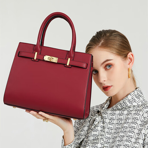 
BEBIPRO+Mother's Day Birthday Gift for Mother's Day 40 Years Old 50 Bags for Women's Bags for Women's Handbags Marriage and Wedding Bags Bride Red 728 Burgundy [Exquisite Gift Box]