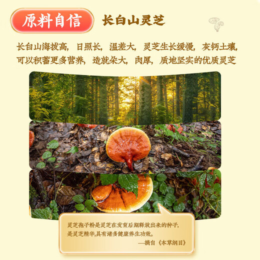 同仁堂破壁灵芝孢子粉保健品增强免疫力中老年人术后体虚体弱多病营养品 1盒 40g 【内含40袋】