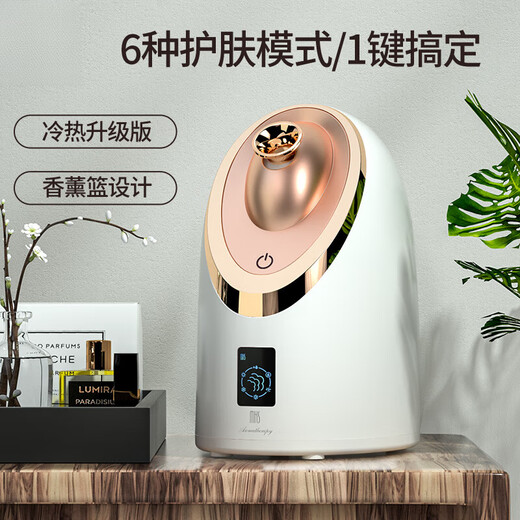 Xulin Germany high-end hot and cold dual spray facial steamer for household facial hydration and beauty instrument nano sprayer facial humidifier hot spray nano facial steamer to hydrate and open pores NV8385 rose gold