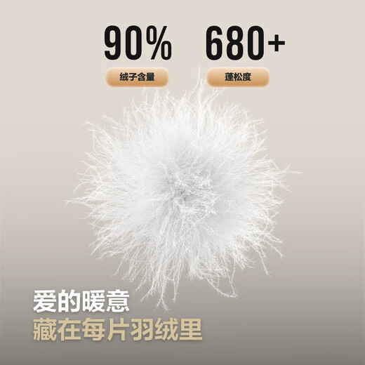 波司登25年春短款轻薄羽绒服女90绒三防立领内胆便携款B250131006
