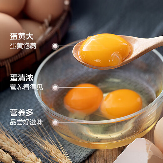 Local eggs, grain-fed, farm-raised fresh eggs, about 40g, breakfast Jingdong fresh soft-boiled eggs, 2 pieces 40-50 Local eggs, grain-fed, farm-raised fresh eggs, about 40g, breakfast Jingdong fresh soft-boiled eggs, 2 pieces 40-50
