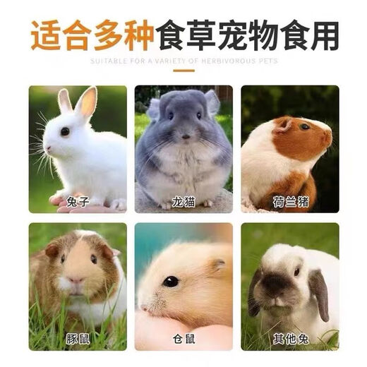 Pet rabbit food 10 Jin Jin is equal to 0.5 kg 20 Jin Jin is equal to 0.5 kg 80 Jin Jin is equal to 0.5 kg Rabbit feed wholesale adult rabbit baby rabbit doe feed Rex rabbit rabbit food Youlaimi 80 Jin Jin is equal to 0.5 kg General rabbit food