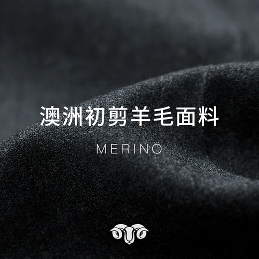 Guillaume de Mons澳嘉西服男外套高定羊毛新郎结婚双排扣商务正装面试西装套装男士 深灰隐条【单西+西裤】 54