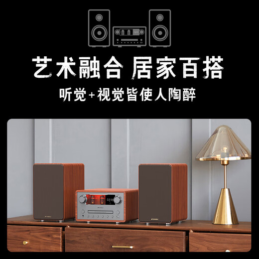 Shanshui N9 Cine en casa altavoz activo Hifi Bulb Machine Amplificador de audio combinado All-in One Wireless Bluetooth Subwoofer de alta calidad Desktop CD Player