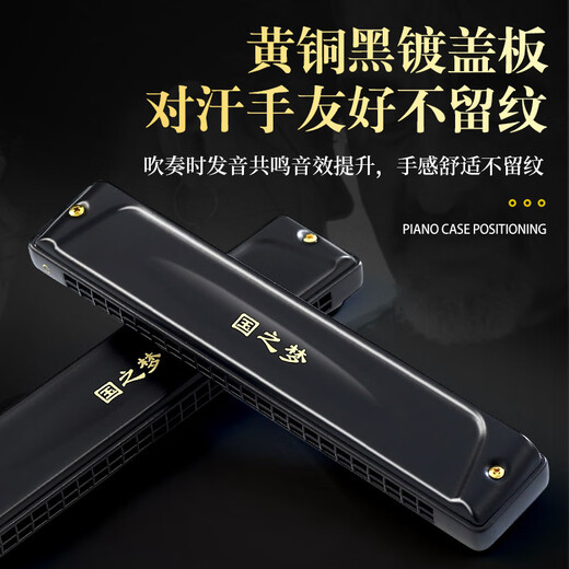 Guoguang Deutschland importiert Gong 24-Loch Polyphonische Harmonika #A/B/C/D/F/G-Melodie/Down/Akzent Erwachsener Performance Grade 24-Loch-12-Röhren-Set Polyphonic Matt Black + Accessoires Geschenk