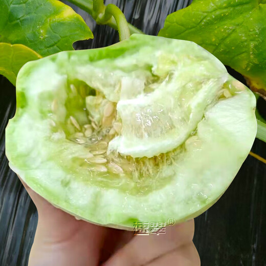Farmer's Son Japanese Sweet Treasure Melon Seeds Old Variety Early-maturing Thin-Skinned Rock Sugar Melon Seeds (R) Fuji Sweet Treasure Musk Melon Seeds 10gx2