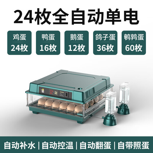Water bed duck goose small rutin chicken incubator egg incubator egg incubator incubator small household type fully automatic intelligent 24 fully automatic single electricity (display temperature + number of days)