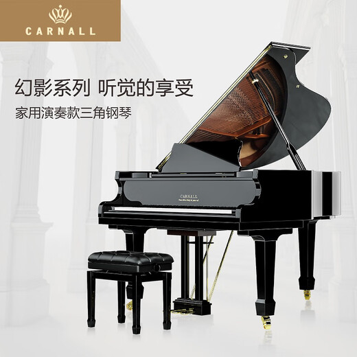 卡纳尔（CARNALL）全新家用三角钢琴成人专业演奏实木真钢琴德国进口配置高端教学用 GC5 高端黑 [德国三复振式音源]
