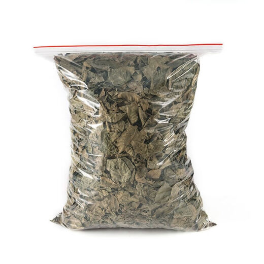 青钱柳原叶茶正品金钱柳茶叶清钱柳茶江西修水原生态古树养生茶叶 青钱柳茶 一斤500g
