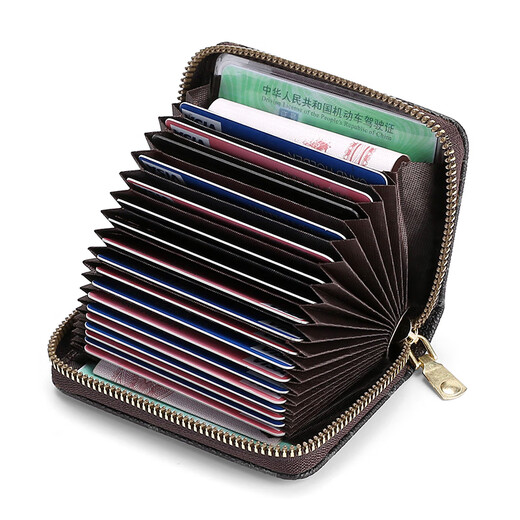 Kuqidaishu Anti-Diebstahl-Karten-Kartentasche Frauen Anti-Demagnetization Multi-Card-Kartenclip großer Kapazitätslizenz kleiner Kartenhülle Wallet DD [9 Kartensteckplätze + 2 Dokumentschlitze]