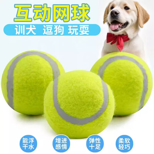 Dog toy ball edge Mu Kejin fur dog walking dog training dog special bite-resistant molar puppy pet dog tennis ball pet dog tennis ball-yellow-1