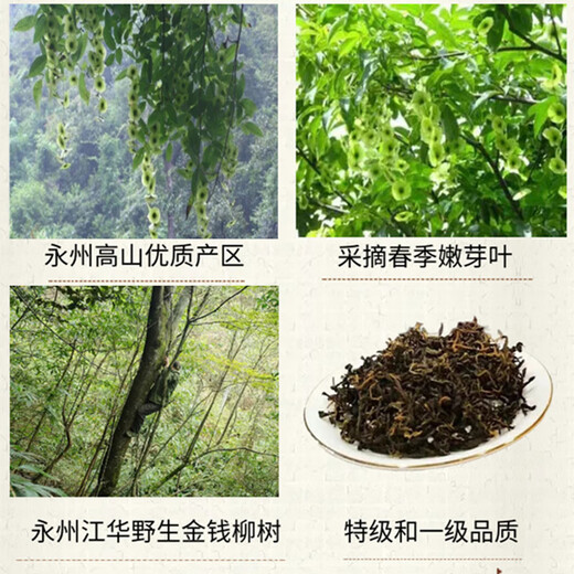Fenghe Dalongshan Hunan Tea Yongzhou Jianghua Yao Ethnische Spezialität wild grünes Geld Willow Tee Jinqian Liu Tee Health Tey Trockenwaren Geschenkbox Wilde besondere Geschenkbox Jinqian Liu 180g/Box