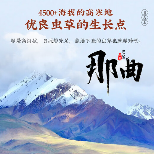 Boîte cadeau lei Yunshang Wild Cordyceps 5G Tibet Nagqu Cordyceps Gift to Elders Tonic Nutritional Products