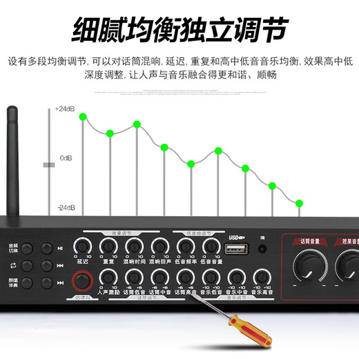 MICGRS professional pre-amp effector with wireless microphone engineering box conference home ktv singing amplifier 5.1 amplifier home theater anti-howling equalization adjustment audio processing EX20M