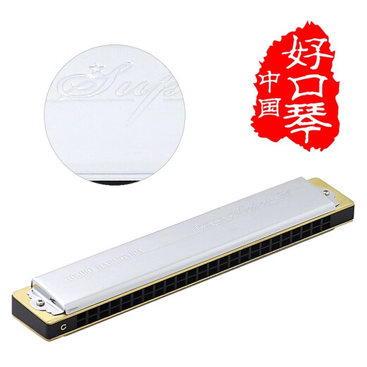 Tongbao Japan Tongbao 6624s Erwachsener Mundharmonika Professionelle Leistung Student Fortgeschrittene 24-Loch-Polyphonic Mundonicon 12-Tune-Set E-Tune