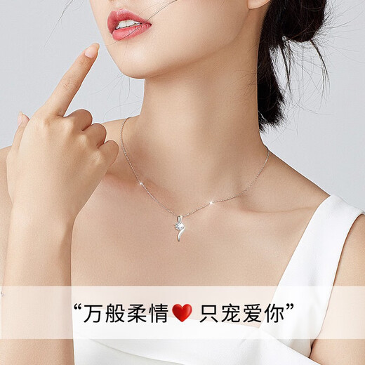 China Gold (CHINA GOLD) Platinum Necklace for Women Set with Diamond Pendant Fashionable Platinum Chain Set Birthday Gift for Girlfriend and Wife Anniversary Platinum Diamond Pendant + Platinum Chain/Can be Engraved