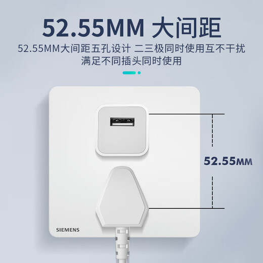 西门子（SIEMENS） 纤薄款开关插座面板 磨砂哑光风睿宸系列白色 五孔10只量贩装 插座