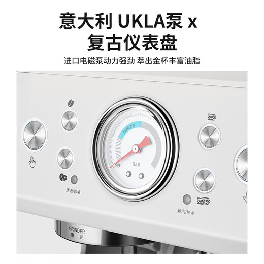 柏翠（petrus）PE3899意式咖啡机全半自动家用奶泡机研磨一体机小型双泵牛角手柄 咖啡机PE3899+制冰机IC08套装