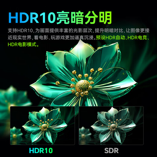 Titan Legion 31.5-inch 2K 180Hz ergonomic stand HDR high dynamic display with gaming backlight 1500R curved gaming monitor C32A1R