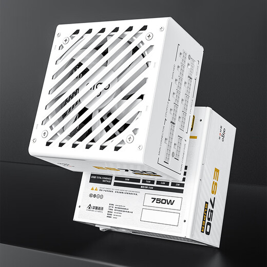 Patriot Esports ES750W/850W SUPER Goldmedaille, Vollmodul, Desktop-Computer-Host-Netzteil, japanischer Kondensator, ATX3.1, geprägtes Kabel, ES750W SUPER Goldmedaille, Vollmodul, ATX3.1, weiß