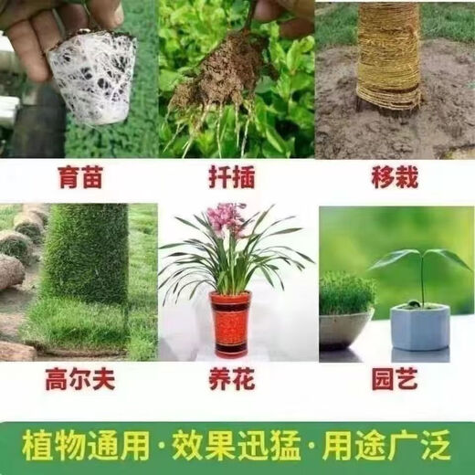5 Jin Jin is equal to 0.5 kilograms of potassium dihydrogen phosphate foliar fertilizer genuine potassium dihydrogen phosphate official store agricultural fertilizer tree vegetable flower fertilizer 10 Jin Jin is equal to 0.5 kilograms in barrels