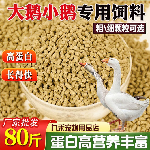 Yonghuan goose feed manufacturer wholesale 80Jin Jin is equal to 0.5kg. Feeding goose and goose opening feed, meat goose fattening and egg laying pellet full price feed. Large goose pellet feed only loses 999 portions of impulse. 100Jin Jin is equal to 0.5kg 50kg.
