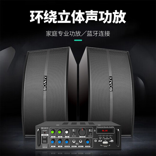 索爱（soaiy）CK-M66Y【国家补贴】家庭影院KTV音响套装卡拉OK点歌机一体机电视门店会议室设备专业功放音箱话筒