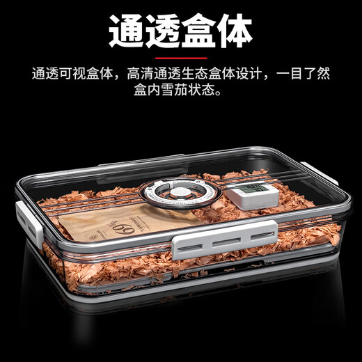 CIGARLOONG LOCK cigar humidor 30-pack PET transparent Cuban cigar box with cedar wood electronic thermometer and hygrometer