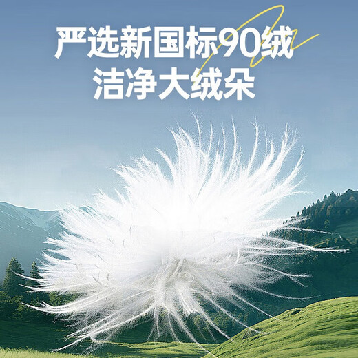 Yalu High Filled Down Jacket 203G Men's Short Thickened Winter New Contrast Color Hooded Bakery Jacket for Men Pure Black XL Recommended 135-150Jin Jin is equal to 0.5 kg