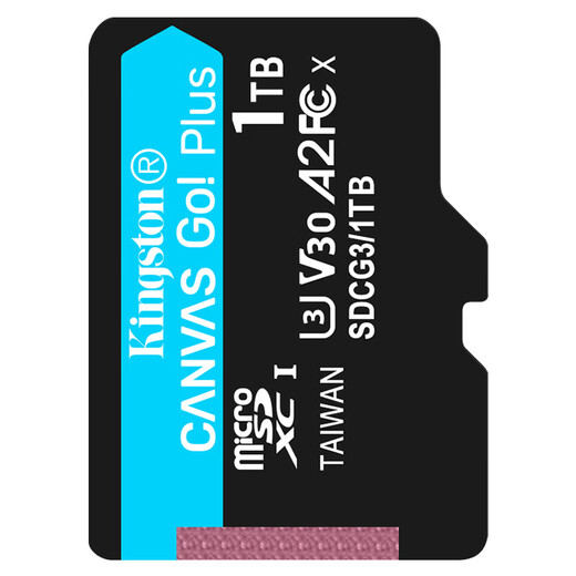 金士顿（Kingston）1TB TF（MicroSD）内存卡U3 V30 A2 4K 读170MB/s游戏机 行车记录仪 运动相机无人机 监控存储卡