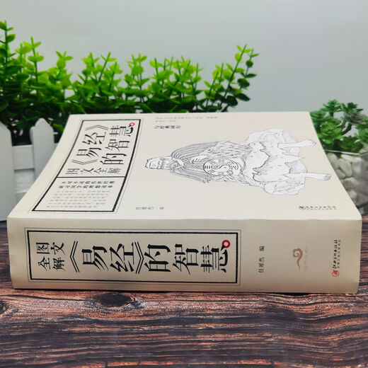 京东配送厚本693页 正版 易经的智慧 插图版中国哲学周易全书 易经注释 正版假一赔十 图文全解易经的智慧(693页