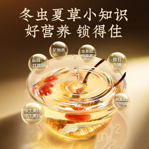 Tongrentang Brand Cordyceps sinensis alrededor de 4 raíces/G2G aproximadamente 8 raíces para personas de mediana edad y ancianos regalos nutricionales y nutritivos para la salud de Beijing Tongrentang