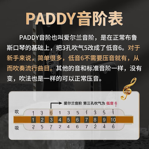 BoogieMAN Yuanyuan's same style Route 66 PADDY harmonica ten-hole blues adult children's blues harmonica 10-hole