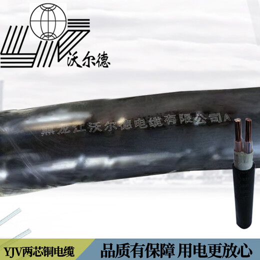 Wald Cable Power Cable YJV22-0.6/1KV 2*35 100 meters 7 days shipment