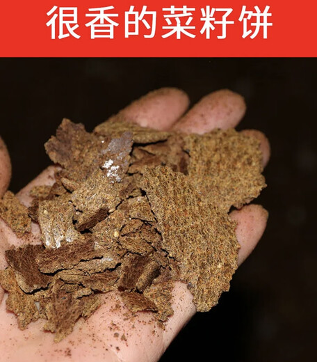 Rapeseed cake, rapeseed cake, withered rapeseed cake, fat rapeseed cake with dried flowers, fertilizer, organic fertilizer, growing vegetables, raising flowers, fishing and making nests. 5Jin Jin is equal to 0.5kg. Freshly pressed rapeseed cake, cake + powder