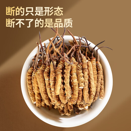 Tongrentang marca Cordyceps sinensis césped roto 50g cordyceps beijing tongrentang tonic tonic alto regalo de regalo del día del padre