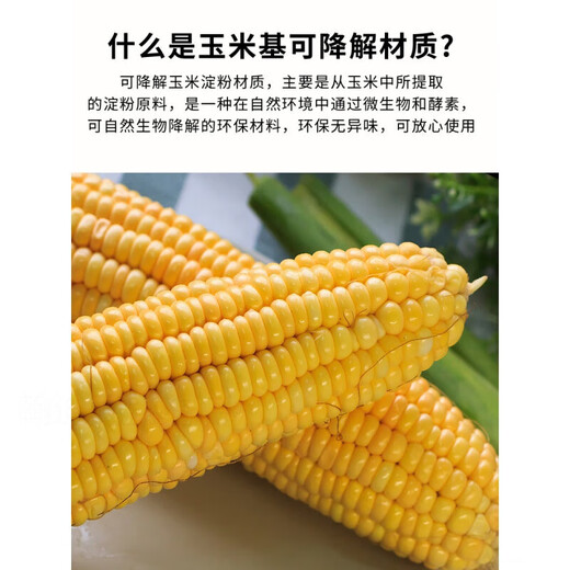 Disposable lunch box food grade takeaway corn starch packaging box fast food light food high-end lunch box TQ500 rectangular box 50 sets