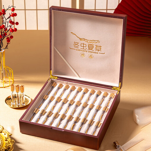Shengdikangzang Cordycep