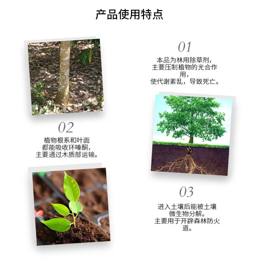 Kexin cyclazinone is a special herbicide for removing weeds from large trees, bamboo shrubs, dead trees, and rotten roots of large trees.