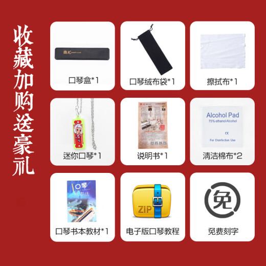 国光 口琴28孔复音C调初学者学生儿童男女自学入门口风琴乐器 C调 28孔 【蓝色演奏级】复音+全