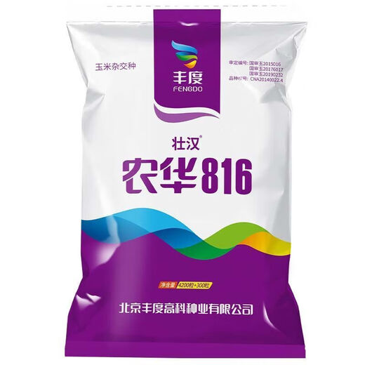 Stable-yielding dwarf corn seeds, national review twins, drought-resistant and lodging-resistant, new varieties from the Academy of Agricultural Sciences, Nonghua 816 4200 grains + 300 grains Nonghua 816 4500 grains + production increase package