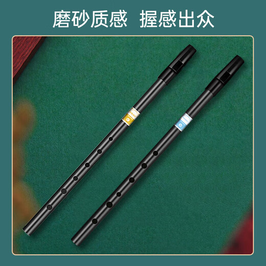 Romusic whistle Irish D key six-hole recorder beginners entry door flute adult student professional playing instrument silver