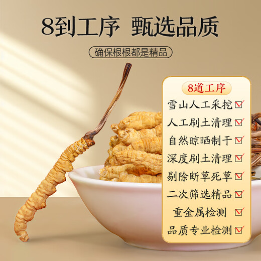 Zangxitang [tibetaner Versand] Wild Cordyceps sinensis in Nagqu, Tibet, neue getrocknete Cordyceps Geschenke High-End-Ernährungsprodukte 3 Stäbchen/g 10 g insgesamt 30 Stäbe