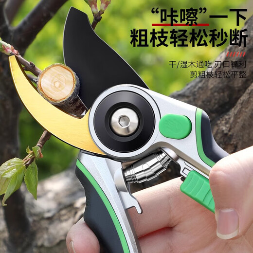 Mi Ling Gardening Pruning Scissors Fruit Tree Branches Garden Flower Branches Floral Scissors Pruning Shears Fruit Picking Artifact A 12 Inch Gold Armor SK5 Steel Luxury Model