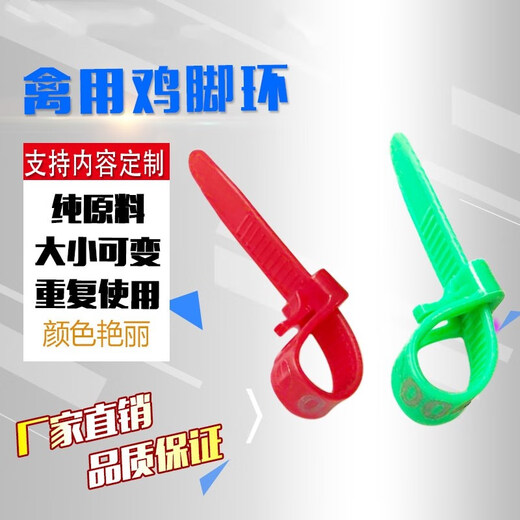 Chaoming (CHAOMING) Tuojin mark ring chicken logo plastic chicken foot ring with various numbers duck custom-made farm button label sign without words yellow 50 pieces