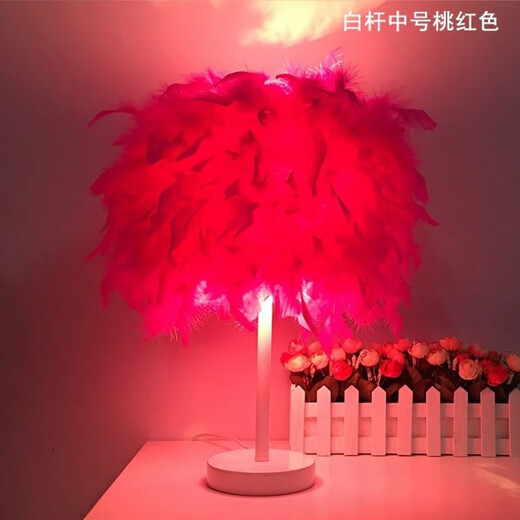 曜添创意简约欧式羽毛台灯卧室床头公主婚房温馨LED生日礼物玫瑰台灯 中号白杆桃红色羽毛 调光开关