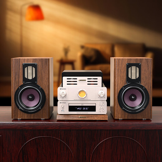 Shanshui N7 Heimkino Active Speaker Hifi Bulb Machine Kombination Audioverstärker All-in-One-Wireless Bluetooth-Lautsprecher Subwoofer hochwertiger Home Desktop Audio-CD-Player N7 Lampenmaschinen-Stromverstärker CD-Wiedergabe Audio-Set