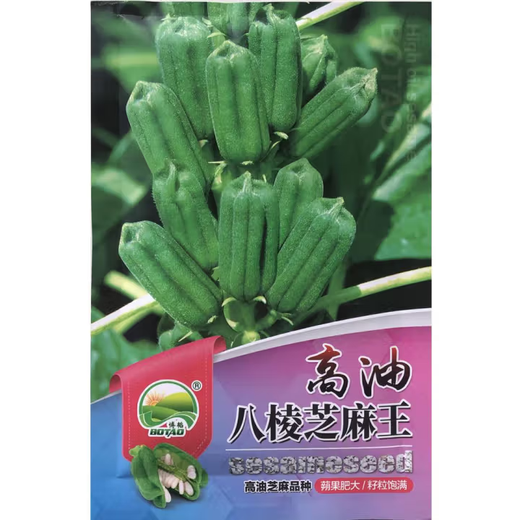 Black sesame seed oil extraction Academy of Agricultural Sciences hybrid high oil stable yield short stem eight-edged white sesame seed base special seed super high sesame seed king original 100g bag