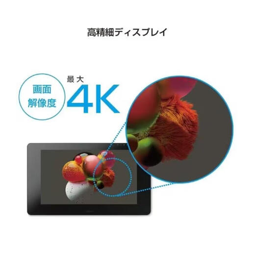 Heguan (Wacom) [JD Logistics Japan Direct Mail] Huguan Wacom Digital Digital Scurection Brange Board Brange Board онлайн-курс написание платы DTH-2420/K0 (ЖК-экран)