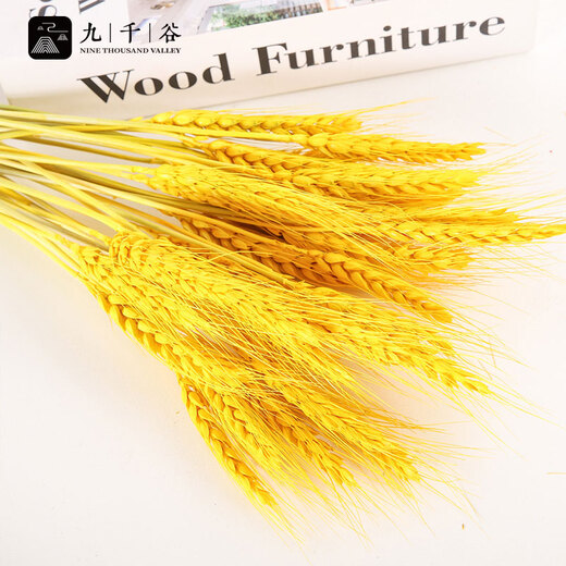Nine Thousand Grains Wheat Ornaments Dried Bouquets Simulated Flowers Barley Living Room Desktop Decorations 100 Count Vase with Money Bag 4411